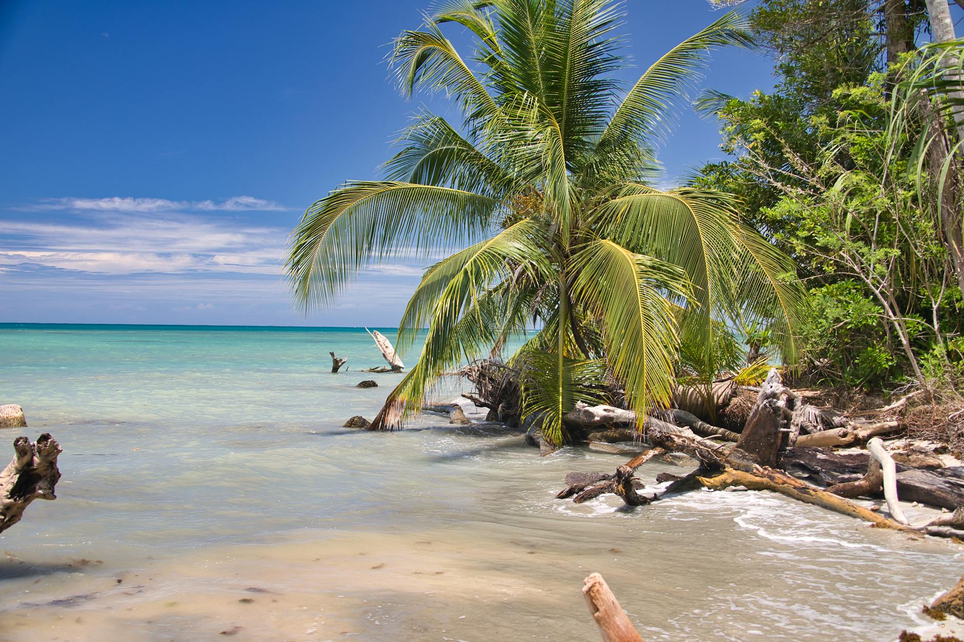 CARIBE SUMMER 2026 foto 4