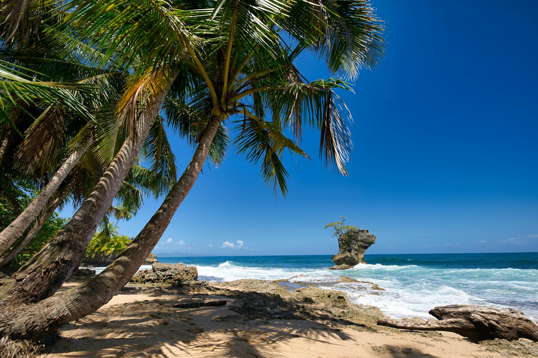 CARIBE SUMMER 2026 foto 5