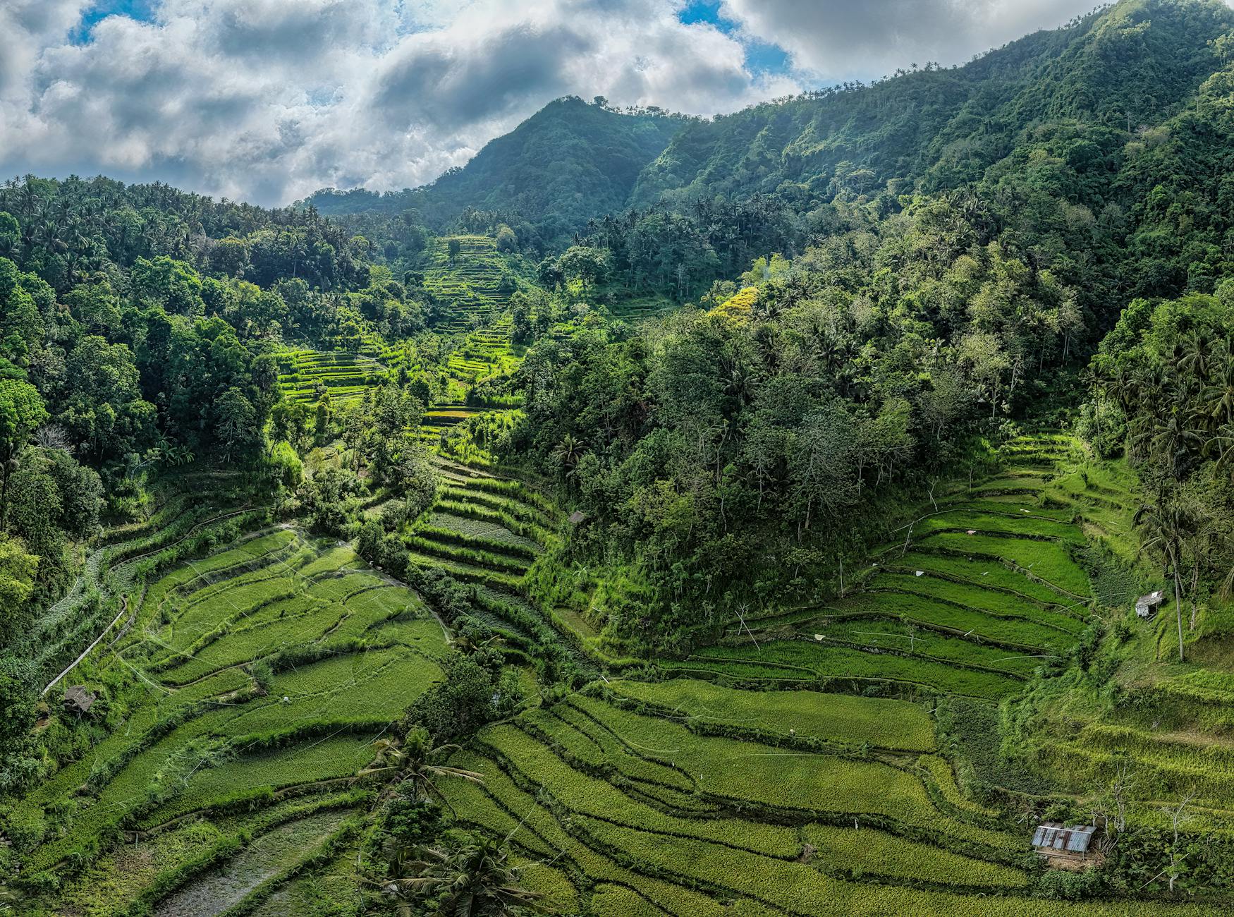 INDONESIA BALI 2026 foto 5