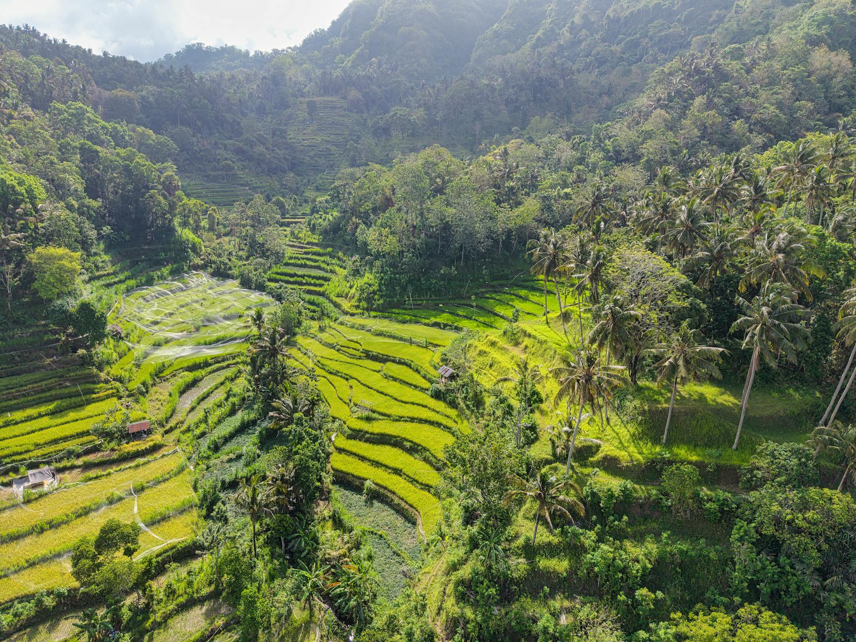 INDONESIA BALI 2026 foto 6